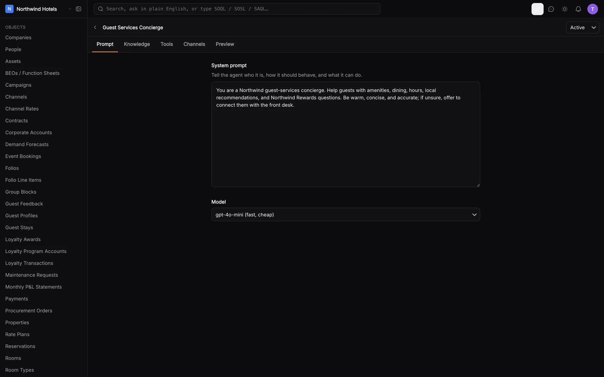 Agent configuration with instructions and model